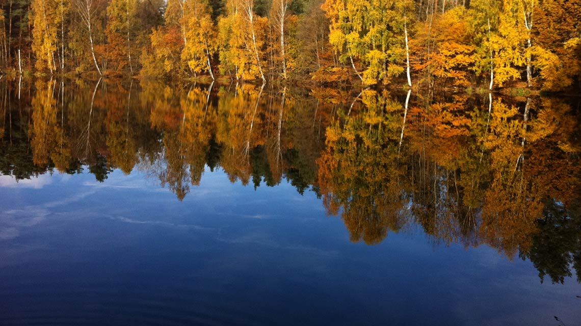 Bild eines wunderschönen Sees in dem sich Bäume spiegeln